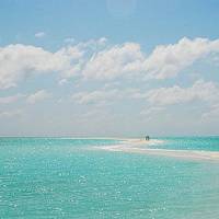 最美风景微信头像