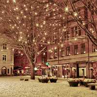 好看意境非主流风景图