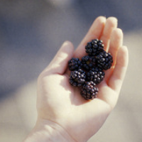 微信头像手唯美