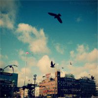 安静的微信头像_安静的做一只文艺狗