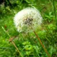 静物微信头像 唯美静物清爽文艺