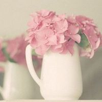 好看简单大方干净的微信头像图片