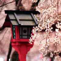 微信头像意境唯美_简约唯美意境让人心静