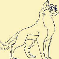 微信狼头像图片大全 霸气十足冷酷的狼