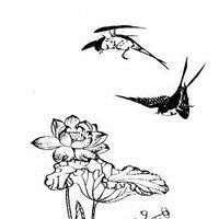 好看的微信头像燕子图片