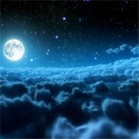 安静的微信头像_安静的做一只文艺狗