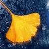 下雨gif动态图片头像