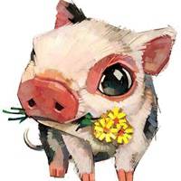 猪的头像萌的微信头像 可爱小猪胖乎乎