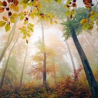 好看意境非主流风景图