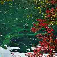 微信头像小清新风景_小清新范的自然风景