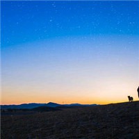 安静的微信头像_安静的做一只文艺狗