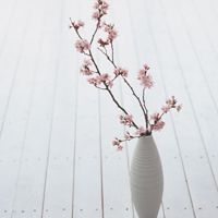 静物微信头像 唯美静物清爽文艺