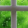 下雨gif动态图片头像