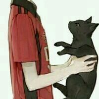 猫头像动漫_不同风格的动漫猫头像图片