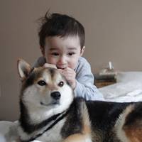 超可爱男宝宝跟萌宠头像