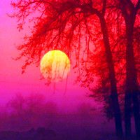 春夏秋天不同季节的唯美风景头像图片