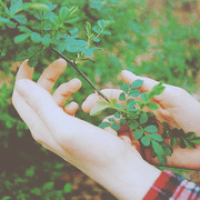 微信头像手唯美