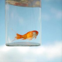 微信头像寂寞孤单_好看唯美的孤独寂寞图片