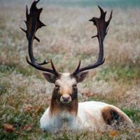 微信头像寂寞孤单_好看唯美的孤独寂寞图片