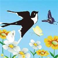 好看的微信头像燕子图片