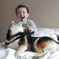 超可爱男宝宝跟萌宠头像