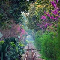 春夏秋天不同季节的唯美风景头像图片