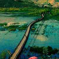 微信头像小清新风景_小清新范的自然风景