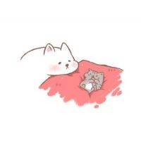 猫头像动漫_不同风格的动漫猫头像图片