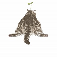 猫头像动漫_不同风格的动漫猫头像图片