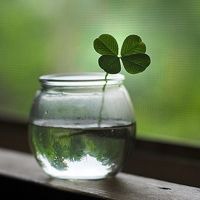 看着舒服的头像 唯美安静舒服