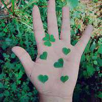 看着舒服的头像 唯美安静舒服