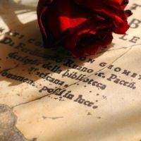 看着舒服的头像 唯美安静舒服