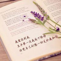 有书本的微信头像 唯美书本