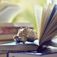 有书本的微信头像 唯美书本