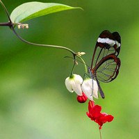 春夏秋天不同季节的唯美风景头像图片