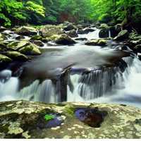 春夏秋天不同季节的唯美风景头像图片