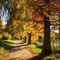 好看意境非主流风景图