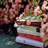 唯美书头像 故事书写的很美