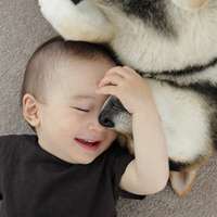 超可爱男宝宝跟萌宠头像