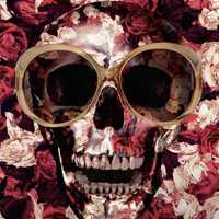 微信骷髅头像图片大全
