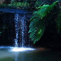 春夏秋天不同季节的唯美风景头像图片
