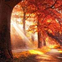 好看意境非主流风景图