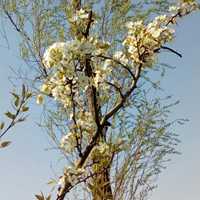 微信头像风景唯美