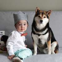 超可爱男宝宝跟萌宠头像