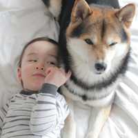 超可爱男宝宝跟萌宠头像