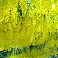 春夏秋天不同季节的唯美风景头像图片