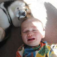 超可爱男宝宝跟萌宠头像