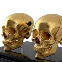 微信骷髅头像图片大全