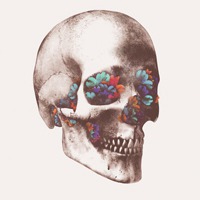 微信骷髅头像图片大全