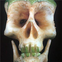 微信骷髅头像图片大全